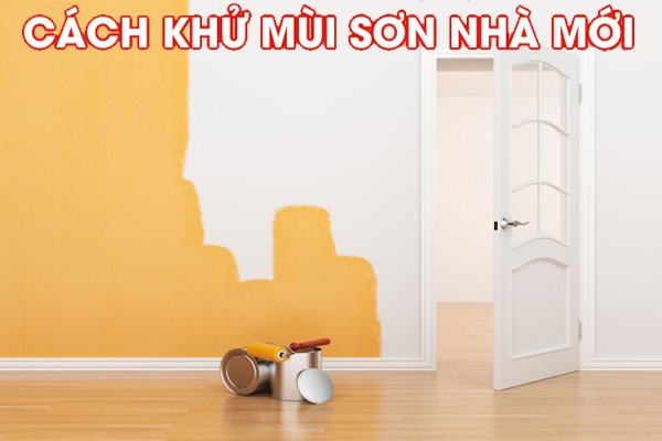 Cách khử mùi sơn nhà mới